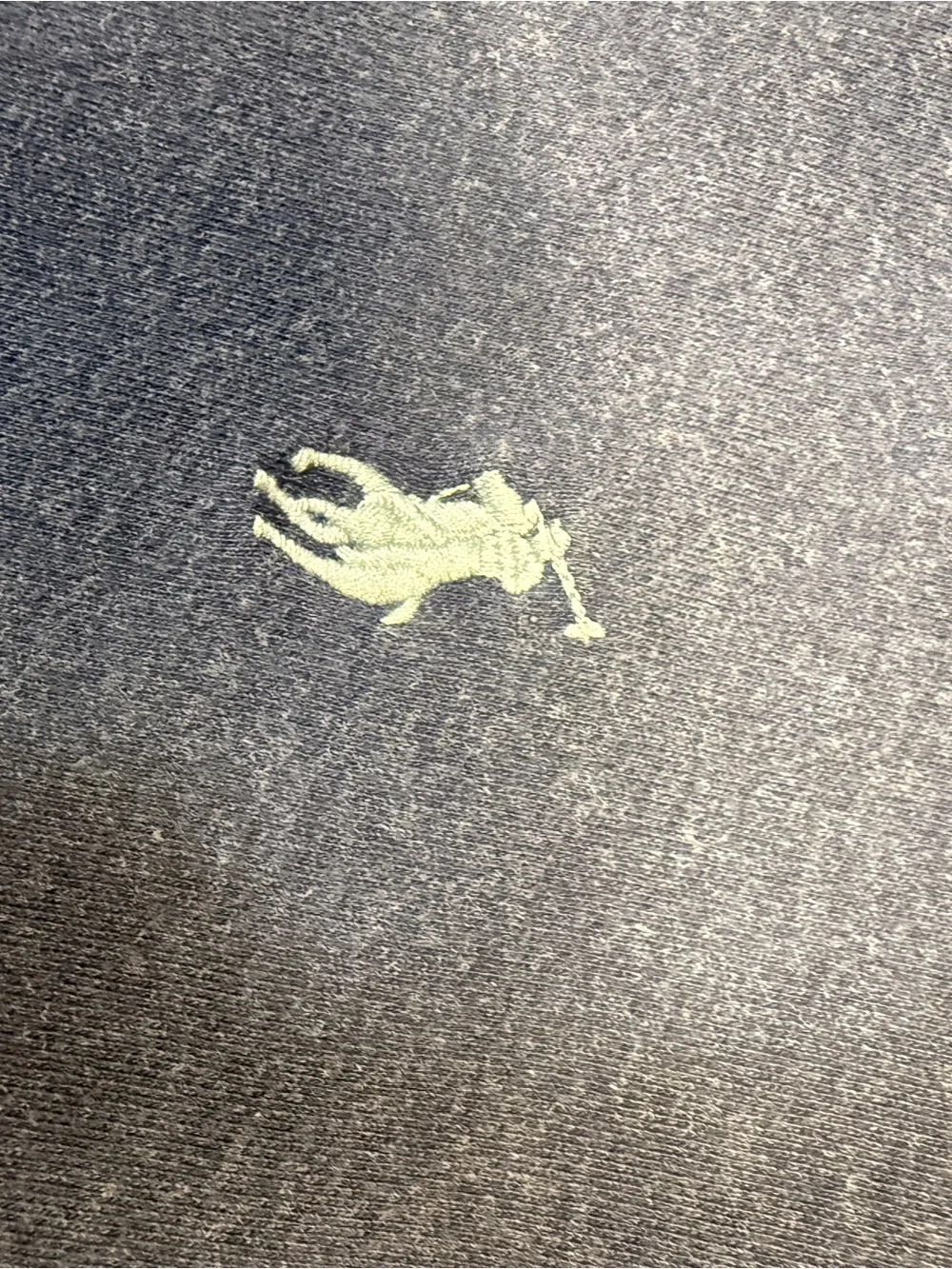 Ralph Lauren Navy Polo Tee with Yellow Logo Tag